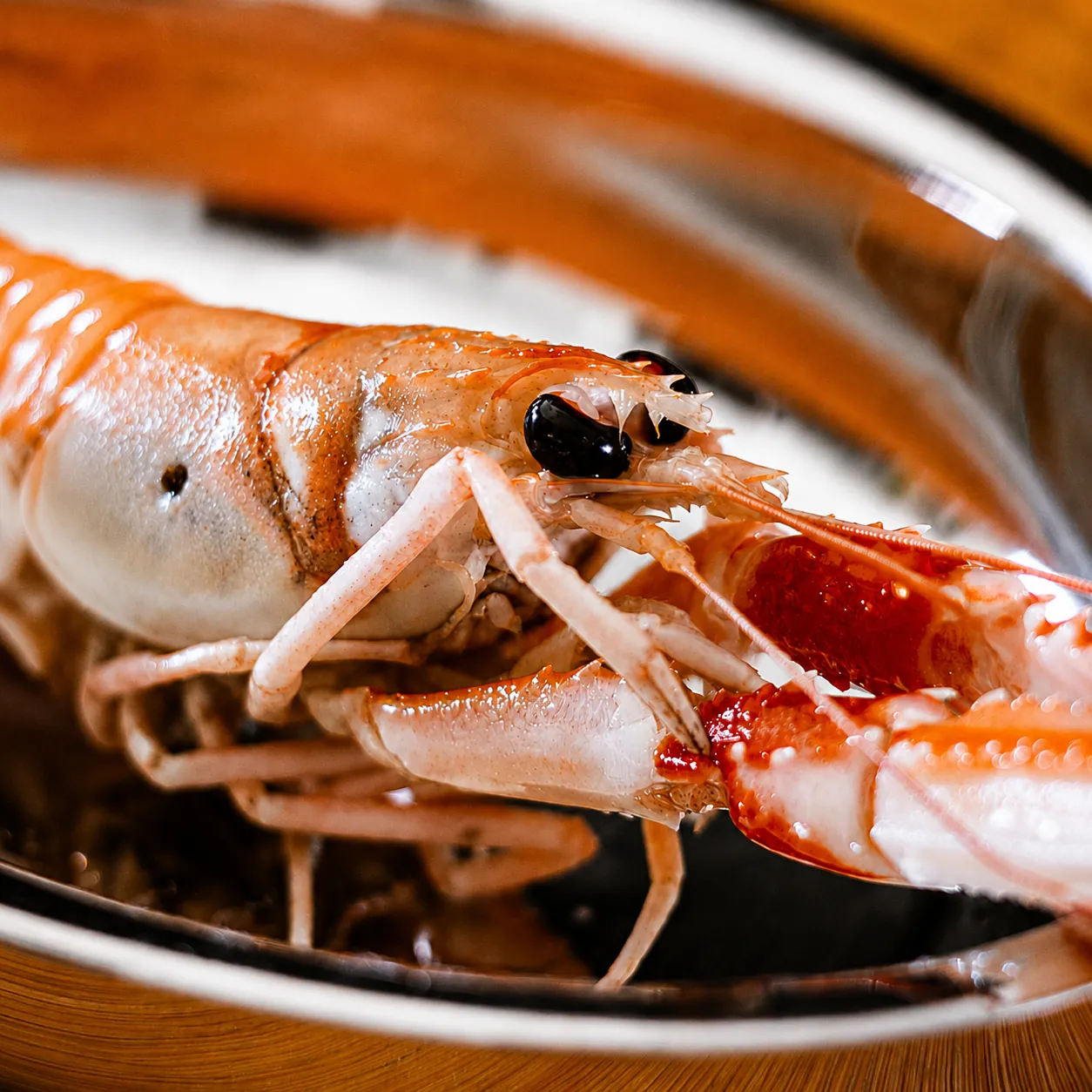 Scampo crudo appena pescato